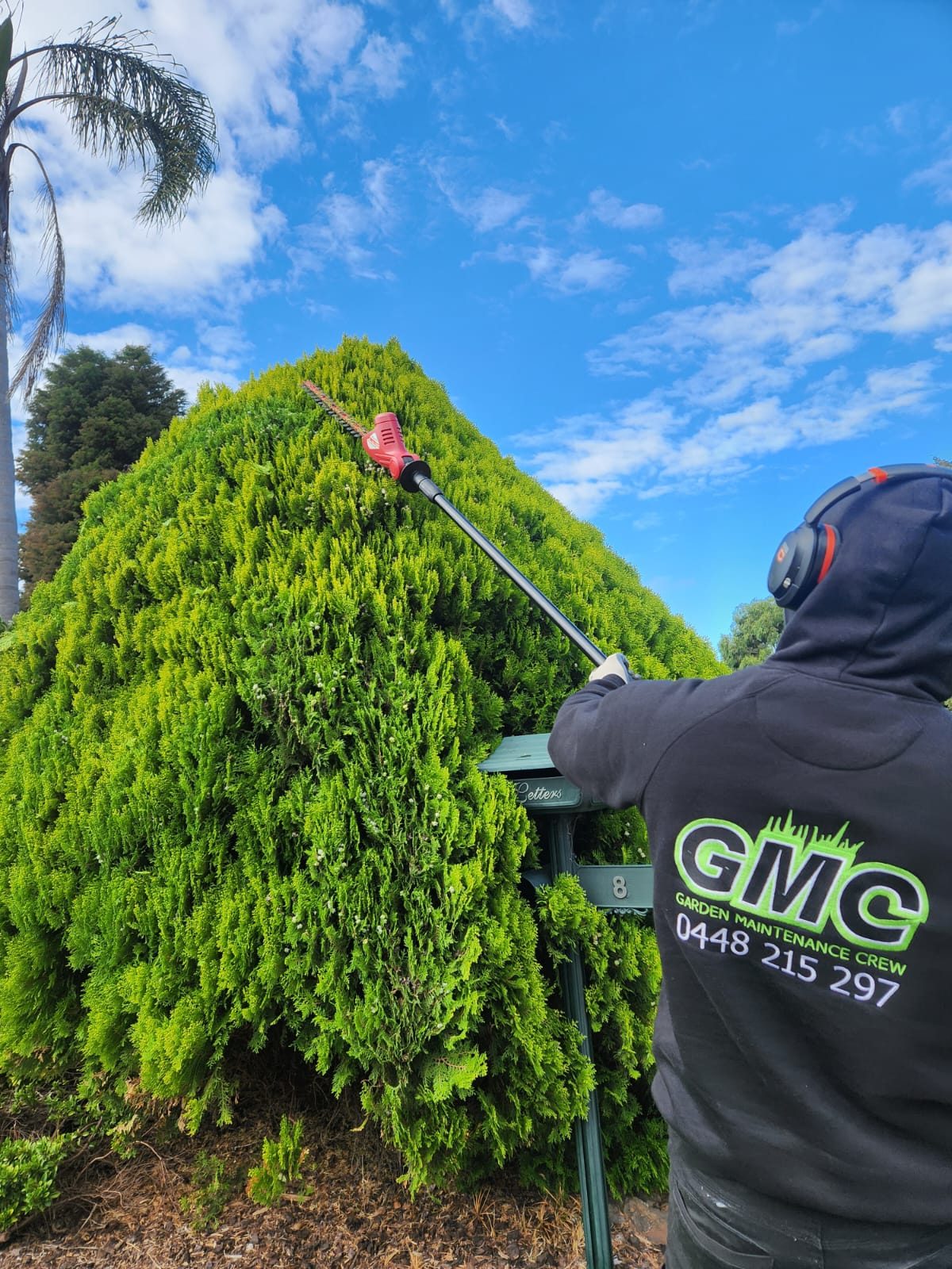 Hedge Trimming